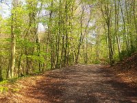 [Group 0]-20170506 103503 030 20170506 103513 001-2 images